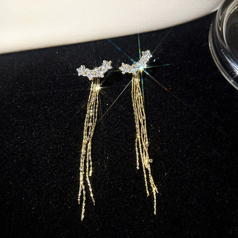 925 silver needle personalized long fringed earrings, high-end temperament earrings, women's diamond-set European and American exaggerated earrings, autumn and winter